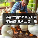 沥青砼路面质量提升观摩会聚焦创新工艺,福建项目代表热议技术成果(图2) 沥青砼路面质量提升观摩会聚焦创新工艺,福建项目代表热议技术成果(图2)