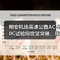 翔安机场高速公路AC-20C试验段攻坚突破,质控新突破(图4) 翔安机场高速公路AC-20C试验段攻坚突破,质控新突破(图4)