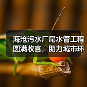 海沧污水厂尾水管工程圆满收官,助力城市环保升级(图4) 海沧污水厂尾水管工程圆满收官,助力城市环保升级(图4)