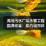 海沧污水厂尾水管工程圆满收官,助力城市环保升级(图3) 海沧污水厂尾水管工程圆满收官,助力城市环保升级(图3)