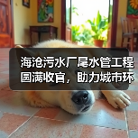 海沧污水厂尾水管工程圆满收官,助力城市环保升级(图2) 海沧污水厂尾水管工程圆满收官,助力城市环保升级(图2)