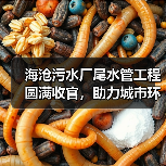 海沧污水厂尾水管工程圆满收官,助力城市环保升级(图1) 海沧污水厂尾水管工程圆满收官,助力城市环保升级(图1)