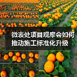 微表处项目观摩会如何推动施工标准化升级(图1) 微表处项目观摩会如何推动施工标准化升级(图1)