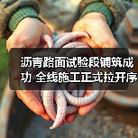 沥青路面试验段铺筑成功 全线施工正式拉开序幕(图2) 沥青路面试验段铺筑成功 全线施工正式拉开序幕(图2)