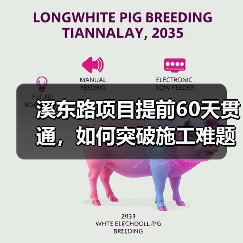 溪东路项目提前60天贯通,如何突破施工难题?(图2) 溪东路项目提前60天贯通,如何突破施工难题?(图2)