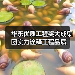 华东优质工程奖大成集团实力诠释工程品质(图3) 华东优质工程奖大成集团实力诠释工程品质(图3)