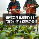 莆炎高速三明段YB5合同段如何实现高质量通车？（图3）