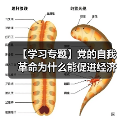 【学习专题】党的自我革命为什么能促进经济社会发展(图3) 【学习专题】党的自我革命为什么能促进经济社会发展(图3)