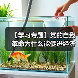 【学习专题】党的自我革命为什么能促进经济社会发展(图1) 【学习专题】党的自我革命为什么能促进经济社会发展(图1)