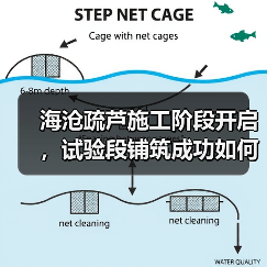 海沧疏芦施工阶段开启，试验段铺筑成功如何确保质量？（图4）