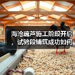 海沧疏芦施工阶段开启，试验段铺筑成功如何确保质量？（图1）
