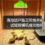 海沧疏芦施工阶段开启，试验段铺筑成功如何确保质量？（图2）