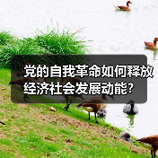 党的自我革命如何释放经济社会发展动能?(图1) 党的自我革命如何释放经济社会发展动能?(图1)