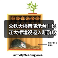 公铁大桥首浇承台!长江大桥建设迈入新阶段(图4) 公铁大桥首浇承台!长江大桥建设迈入新阶段(图4)