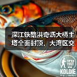 深江铁路洪奇沥大桥主塔全面封顶,大湾区交通升级再添关键支撑?(图3) 深江铁路洪奇沥大桥主塔全面封顶,大湾区交通升级再添关键支撑?(图3)