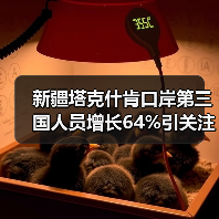 新疆塔克什肯口岸第三国人员增长64%引关注（图4）