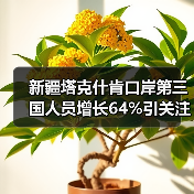 新疆塔克什肯口岸第三国人员增长64%引关注（图3）