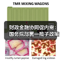 财政金融协同促内需:国务院部署一揽子政策,优化公共服务均等化及生态保护方案(图3) 财政金融协同促内需:国务院部署一揽子政策,优化公共服务均等化及生态保护方案(图3)