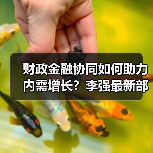 财政金融协同如何助力内需增长?李强最新部署政策(图3) 财政金融协同如何助力内需增长?李强最新部署政策(图3)