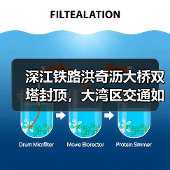 深江铁路洪奇沥大桥双塔封顶,大湾区交通如何高效升级?(图4) 深江铁路洪奇沥大桥双塔封顶,大湾区交通如何高效升级?(图4)
