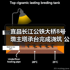 宜昌长江公铁大桥8号墩主塔承台完成浇筑 公铁合建桥梁建设突破关键节点（图2）
