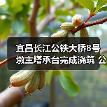 宜昌长江公铁大桥8号墩主塔承台完成浇筑 公铁合建桥梁建设突破关键节点（图3）