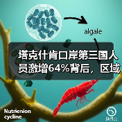 塔克什肯口岸第三国人员激增64%背后，区域合作趋势如何？（图2）