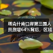 塔克什肯口岸第三国人员激增64%背后，区域合作趋势如何？（图3）