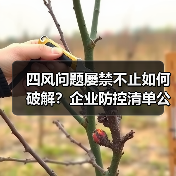 四风问题屡禁不止如何破解?企业防控清单公开详解(图1) 四风问题屡禁不止如何破解?企业防控清单公开详解(图1)