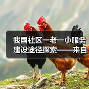 我国社区一老一小服务建设途径探索——来自人民政协报、中国妇女报、中国房地产报6年实践调研的综合报告(图2) 我国社区一老一小服务建设途径探索——来自人民政协报、中国妇女报、中国房地产报6年实践调研的综合报告(图2)