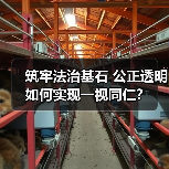 筑牢法治基石 公正透明如何实现一视同仁?(图4) 筑牢法治基石 公正透明如何实现一视同仁?(图4)