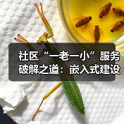 社区“一老一小”服务破解之道：嵌入式建设新路径（图3）