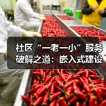 社区“一老一小”服务破解之道：嵌入式建设新路径（图2）