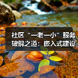 社区“一老一小”服务破解之道：嵌入式建设新路径（图4）
