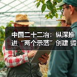 中国二十二冶：纵深推进“两个示范”创建 锻造新时代清廉工程（图2）