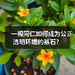 一视同仁如何成为公正透明环境的基石？