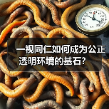 一视同仁如何成为公正透明环境的基石?(图2) 一视同仁如何成为公正透明环境的基石?(图2)