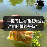 一视同仁如何成为公正透明环境的基石?(图4) 一视同仁如何成为公正透明环境的基石?(图4)