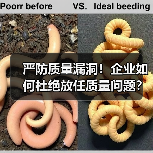 严防质量漏洞!企业如何杜绝放任质量问题?(图2) 严防质量漏洞!企业如何杜绝放任质量问题?(图2)