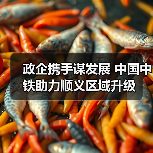 政企携手谋发展 中国中铁助力顺义区域升级(图2) 政企携手谋发展 中国中铁助力顺义区域升级(图2)