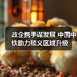 政企携手谋发展 中国中铁助力顺义区域升级(图4) 政企携手谋发展 中国中铁助力顺义区域升级(图4)