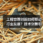 工程管理创新如何驱动行业发展?技术创新引领行业合作新方向(图2) 工程管理创新如何驱动行业发展?技术创新引领行业合作新方向(图2)