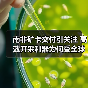 南非矿卡交付引关注 高效开采利器为何受全球矿山青睐?(图4) 南非矿卡交付引关注 高效开采利器为何受全球矿山青睐?(图4)