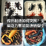 传统制造如何突围？全柴动力智能制造转型全解析