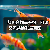 战略合作再升级:回访交流共绘发展蓝图(图4) 战略合作再升级:回访交流共绘发展蓝图(图4)
