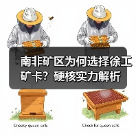 南非矿区为何选择徐工矿卡?硬核实力解析(图2) 南非矿区为何选择徐工矿卡?硬核实力解析(图2)