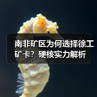 南非矿区为何选择徐工矿卡?硬核实力解析(图4) 南非矿区为何选择徐工矿卡?硬核实力解析(图4)