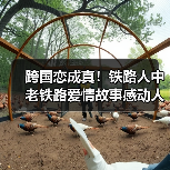 跨国恋成真!铁路人中老铁路爱情故事感动人心(图2) 跨国恋成真!铁路人中老铁路爱情故事感动人心(图2)