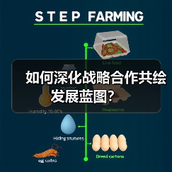 如何深化战略合作共绘发展蓝图？