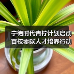 宁德时代青柠计划启动百校零碳人才培养行动